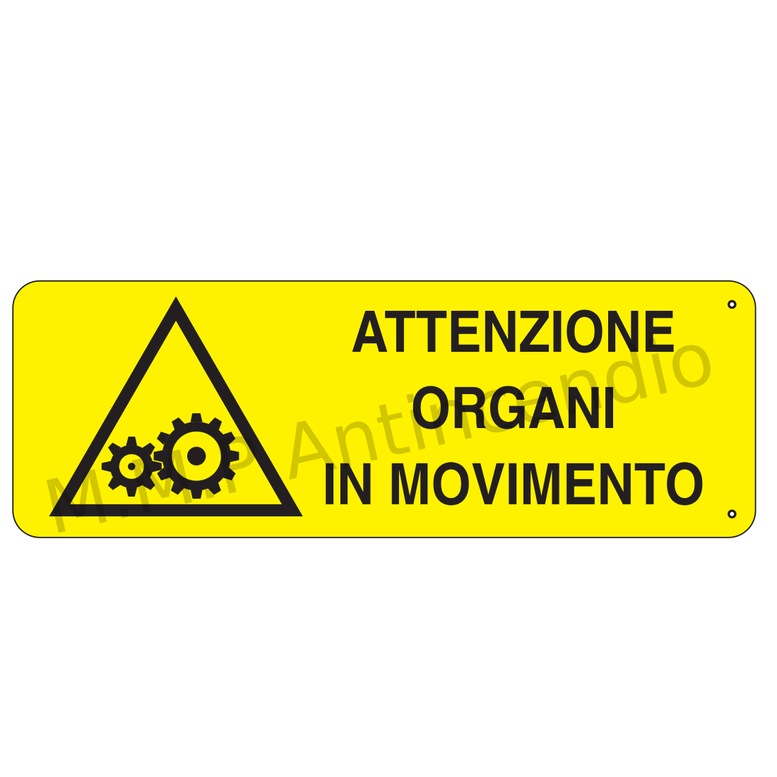 Organi in movimento